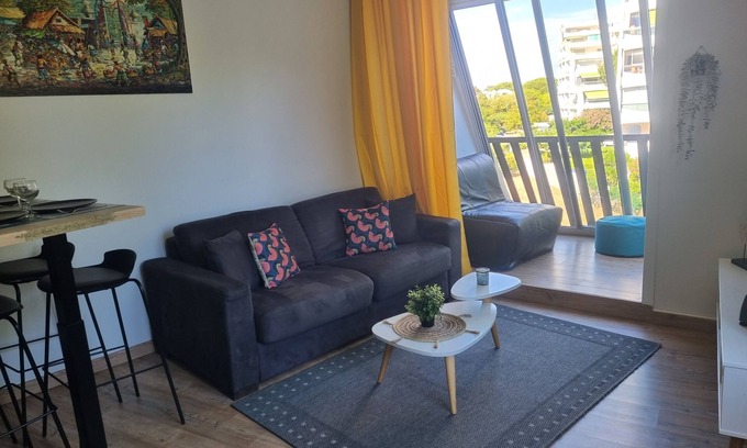 La Petite Motte Apartment | Very nice T2 40m2 + 45m2 terrace
