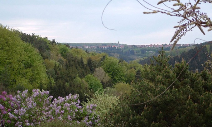Lambach House | Very pleasant well equipped gîte for 12 in the heart of the northern Vosges