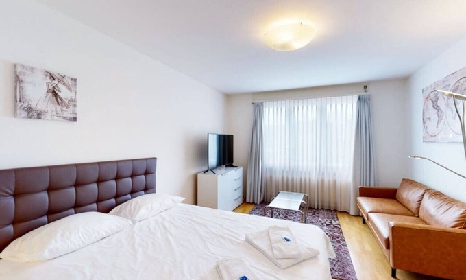 Hottingen Apartment | Very spacious studio/city center (Parkview 4)