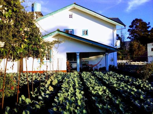 Nuwara Eliya House | Vibe way (Hostel & Market farm)