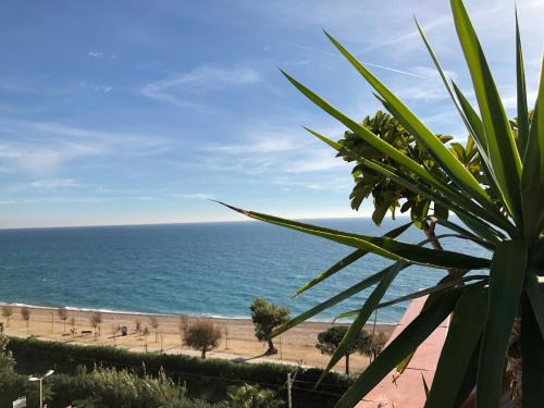 Pineda de Mar Apartment | VicAm Atico Duplex