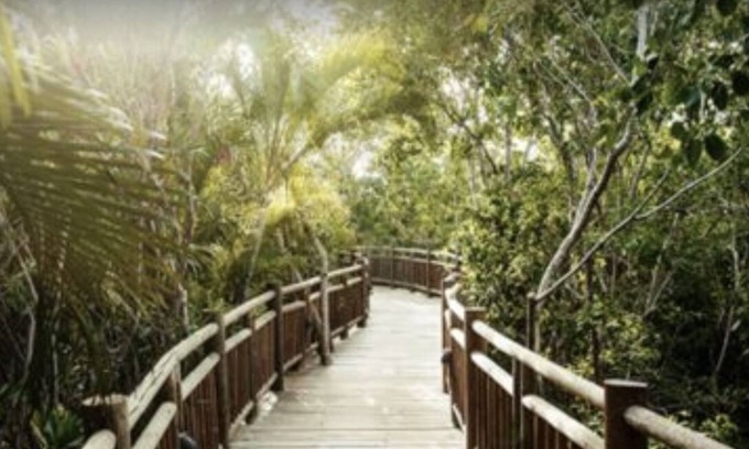 Bucerias Resort | Vidanta Property Grand Luxxe Master Suite 2 Bedroom, 2 Bath