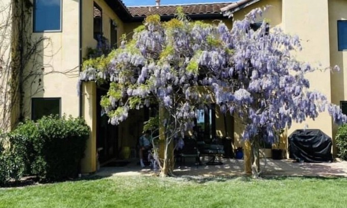Arroyo Grande Villa | "Viento De Robles"overlooking Laetitia Winery . Views for days .Gorgeous