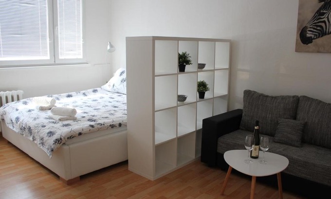 Frydek-Mistek Apartment | Viktorie