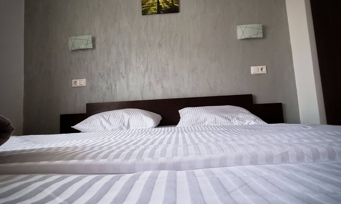 Tasnad Villa | VILA ALEX -Piscina cu apă termală