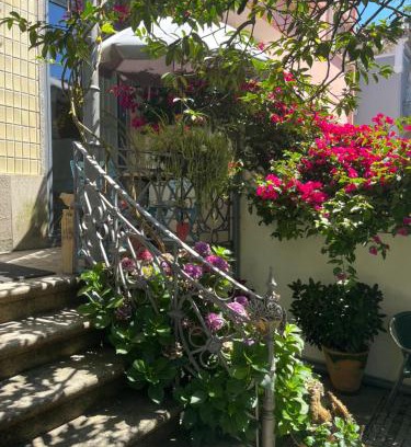 Paranhos Bed & Breakfast | Vila Camélia