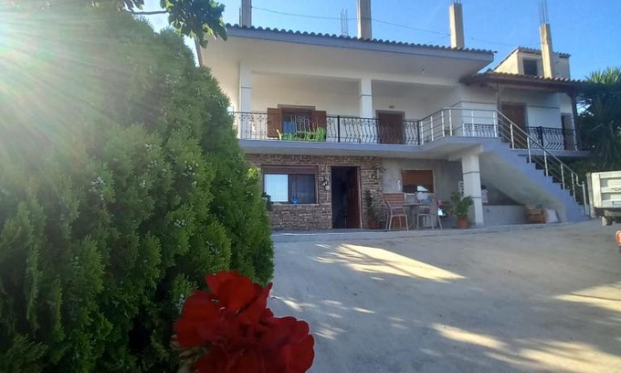Aliko House | VILA PASHA