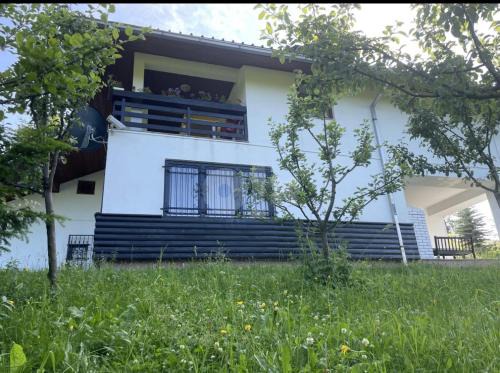 Zenica-Doboj Canton Villa | Vila Ponijeri