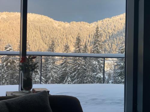 Donovaly Ski Chalet | Vila Relax