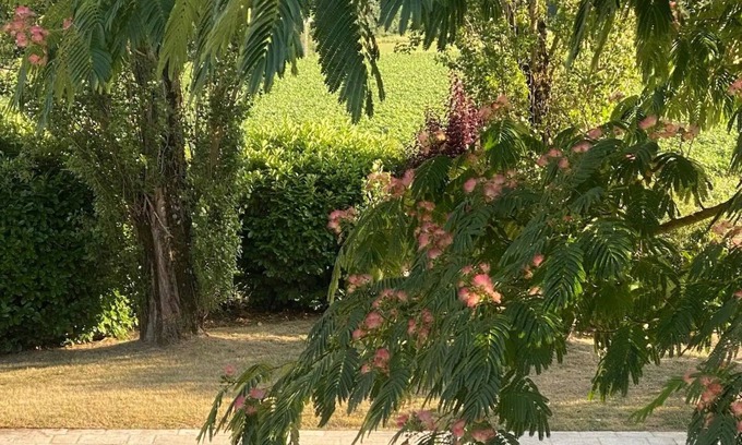 Saint-Hilaire-les-Andresis Villa | Villalima🌟piscine🌟au Calme🌟à la Campagne