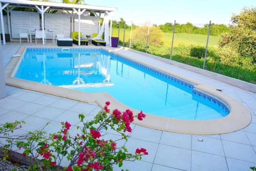 Le Robert Villa | Villa Améthyste avec grande piscine privée, jardin clos, parking privé