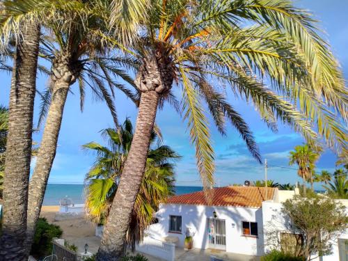 Denia House | Villa at seafront with private garden-655
