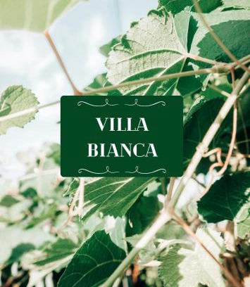 Elsenfeld Apartment | Villa Bianca - Holiday & Business