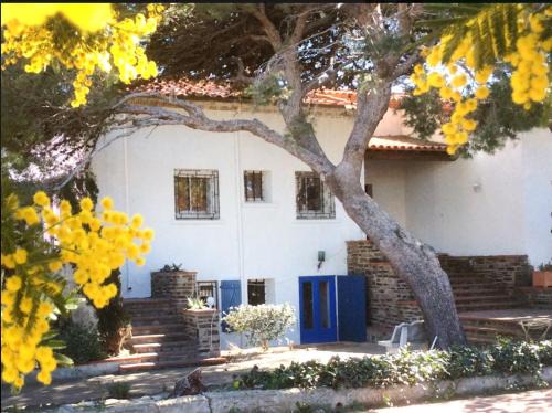 Port-Vendres Bed & Breakfast | VILLA BLEUE - LES PINS