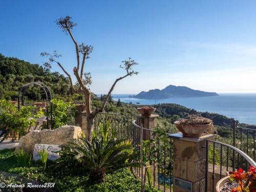 Schiazzano House | Villa Capri Wonderful View