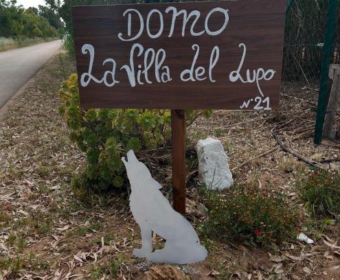 Sassari House | Villa del Lupo