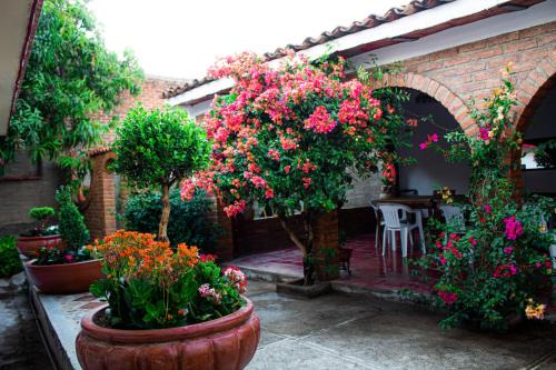 Mascota House | Villa Flores, casa en el centro de Mascota