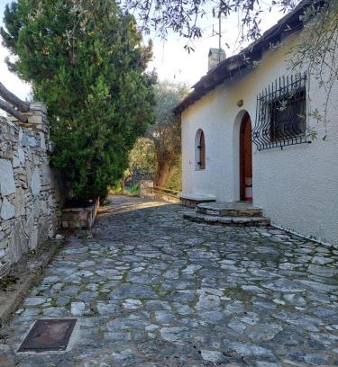 Thasos House | Villa Foti