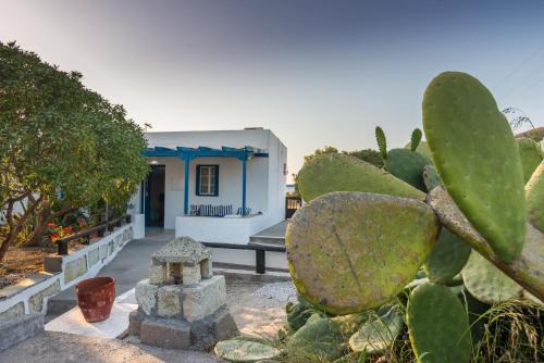 Apollonia House | Villa Frakosykia