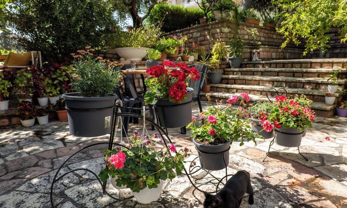 Qafe e Gjashtes House | Villa Green Garden