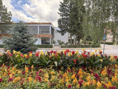 Sliac Hotel | Villa Green