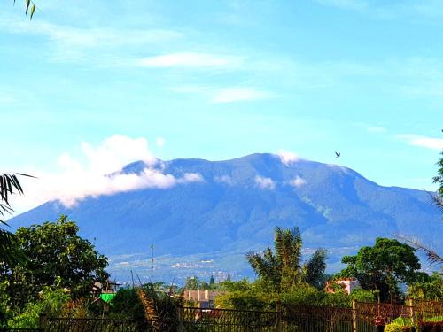 Cipanas Villa | Villa Hello Kitty Kota Bunga Puncak