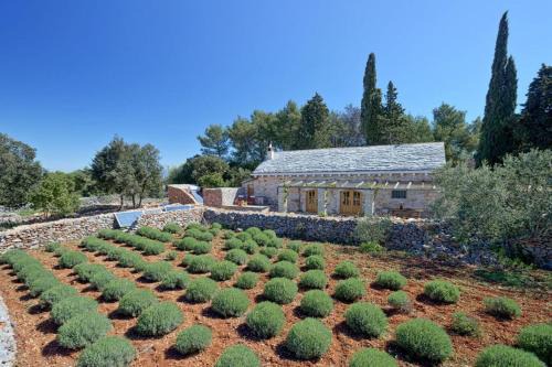 Jelsa House | Villa Humac Hvar