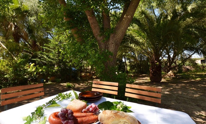 Sineu Villa | Villa in Sineu with Private Pool & Gardens