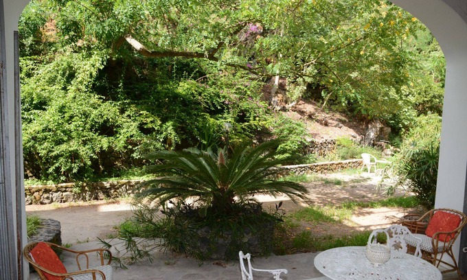 Ischia Porto Apartment | villa in the green by the sea