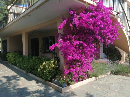Saint-Raphael Apartment | villa Kerlaf