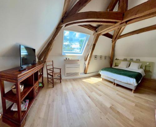 Cour-Cheverny House | Villa l'Arbre Bleu