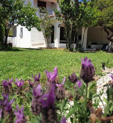 Matta 'e Peru House | Villa Lentischio