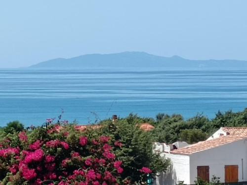Eden Beach House | Villa Marina