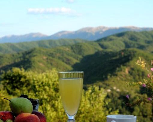 Koukkoulion House | Villa Menta in Zagori