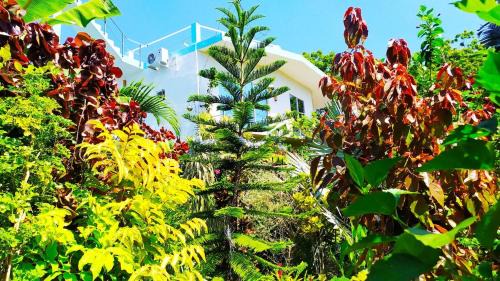 Kahandamodara Villa | Villa Modara Ocean For Rent