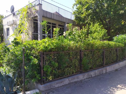 Canj House | Villa Nadija