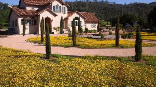 Pope Valley House | Villa Napa Wine Country Scenic Pool and Vineyard Views