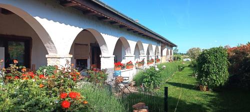 Balatonfokajar Apartment | Villa Negra vendégház