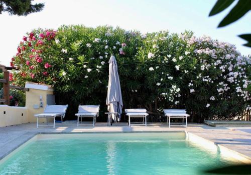 Punta De Su Turrione Villa | Villa Nina - Lussuosa Villa con piscina privata a Stintino