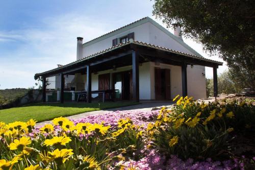 Carloforte Villa | Villa Olga