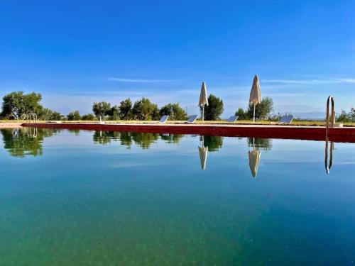 El Aggada Villa | Villa Oliveraie Prestige - 50 hectares Privés