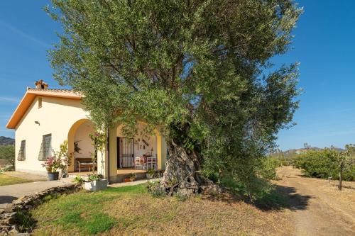 Villa San Pietro Villa | Villa Oliveto