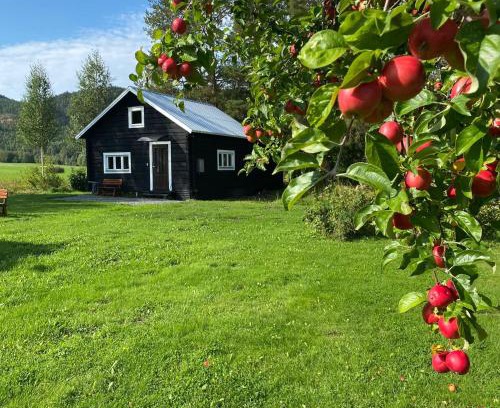 Hammarstrand House | Villa Ragunda