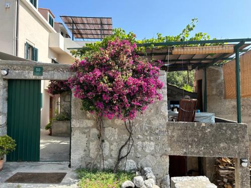Slano Apartment | Villa Rina
