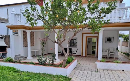 Conil de la Frontera City Center Villa | Villa Rosa en primera linea de playa