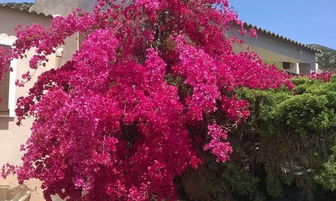 Teulada Villa | Villa Rosetta