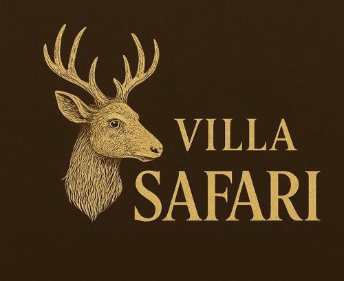 Salo House | Villa Safari