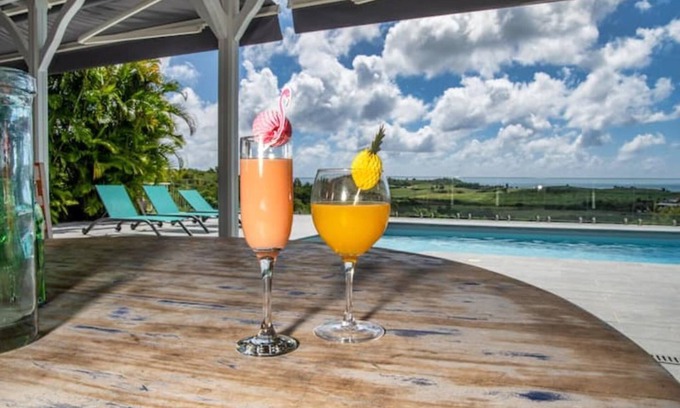 Riviere-Salee Villa | Villa sea view from 3 to 11 people
