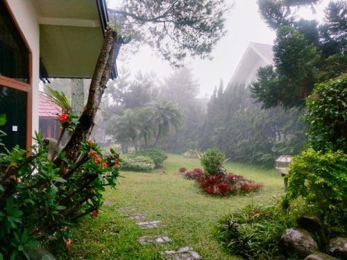 Cipanas Villa | Villa Segar Alam Puncak