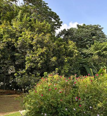 Gros-Morne House | Villa Selma Martinique